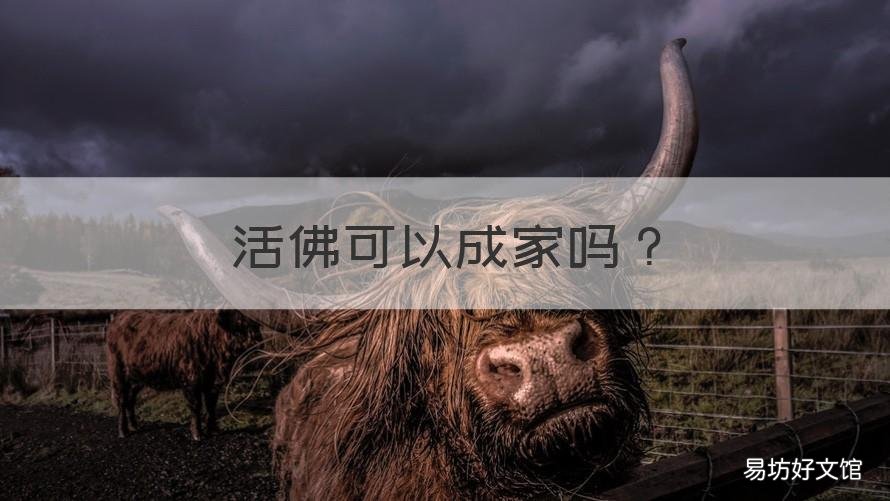活佛可以成家吗 怎么才能做活佛