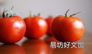 西红柿怎么吃减肥 西红柿怎么吃减肥效果最好