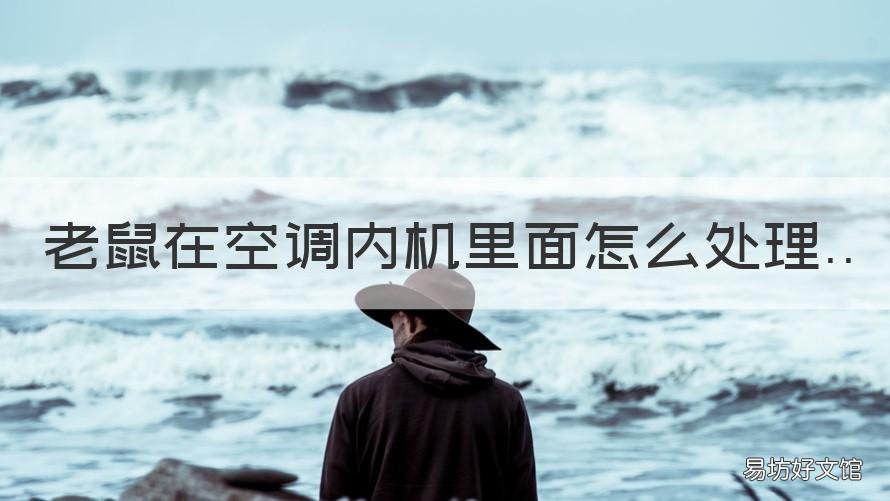 老鼠在空调内机里面怎么处理 空调里有老鼠怎么处理方法