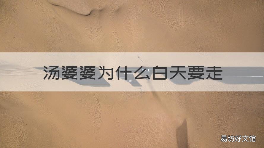 汤婆婆为什么白天要走 汤婆婆代表什么