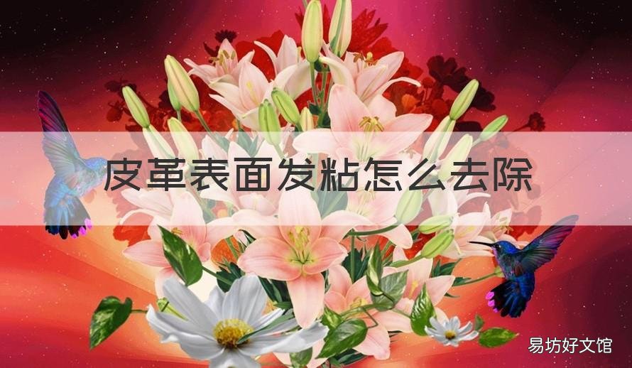 皮革表面发粘怎么去除 皮革表面起粘怎么办