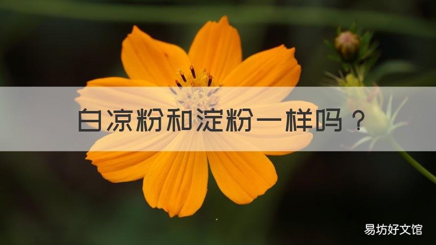 白凉粉和淀粉一样吗 白凉粉和淀粉一样吗能吃吗