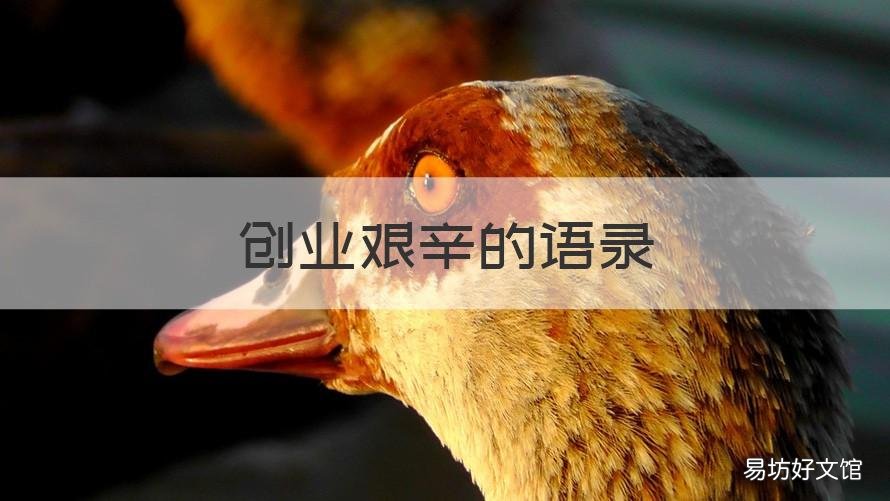 创业艰辛的语录 创业艰辛的语录短句