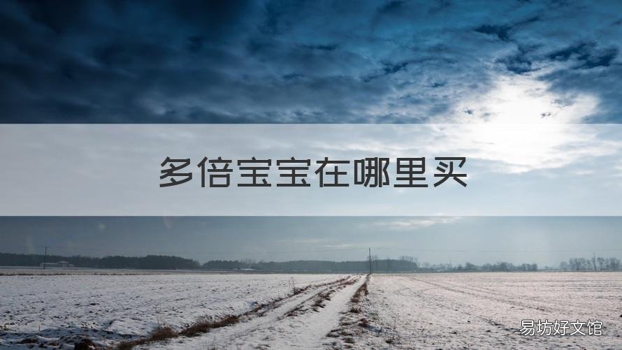 多倍宝宝在哪里买 多倍宝宝是什么公司的