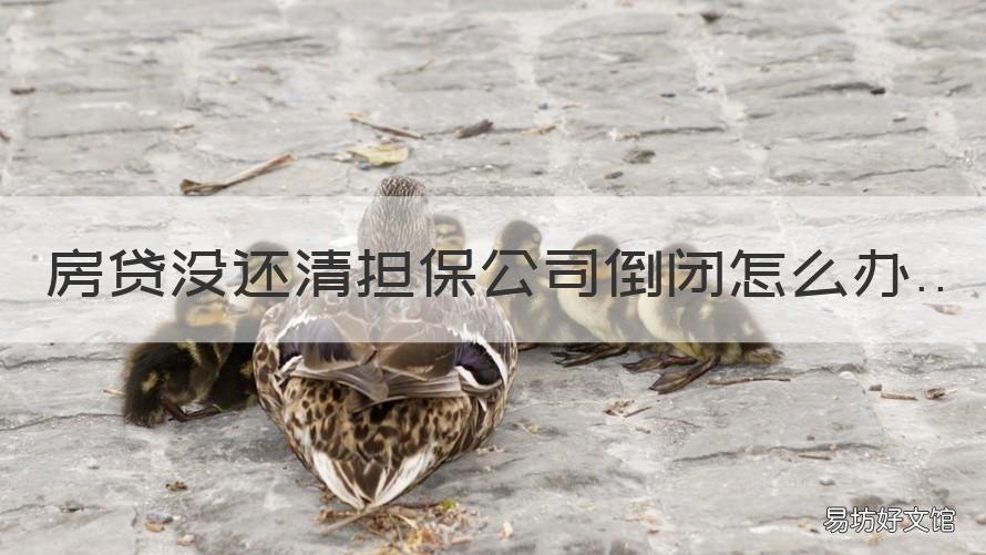 房贷没还清担保公司倒闭怎么办 欠银行的房贷担保公司给还了