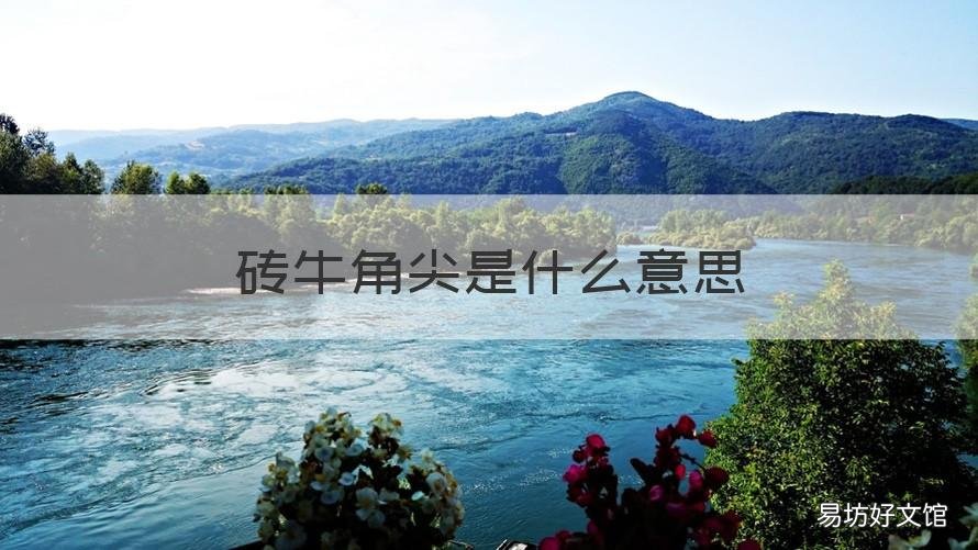 砖牛角尖是什么意思 牛角尖啥意思