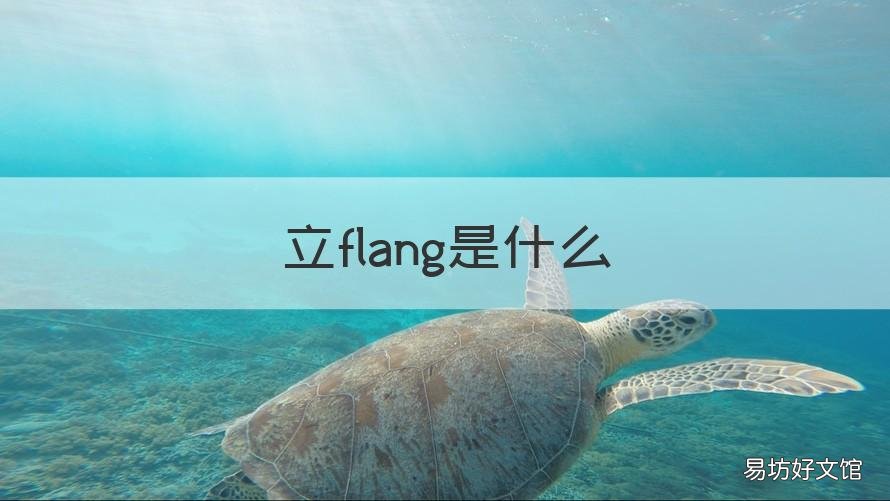立flang是什么 立flang跟立flag