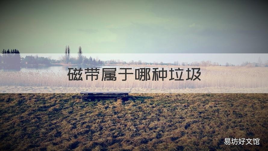 磁带属于哪种垃圾 磁铁属于哪一类垃圾?