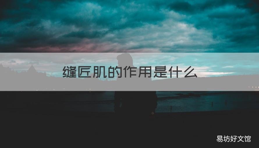 缝匠肌的作用是什么 缝匠肌的作用是什么关节