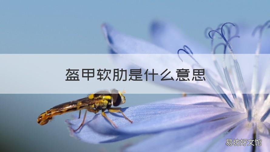 盔甲软肋是什么意思 盔甲软肋是什么意思啊