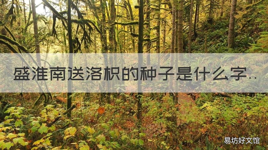 盛淮南送洛枳的种子是什么字 盛淮南送给洛枳的种子是什么字