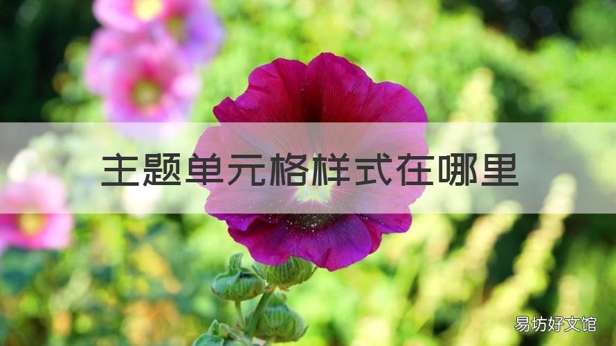 主题单元格样式在哪里 设置主题单元格样式