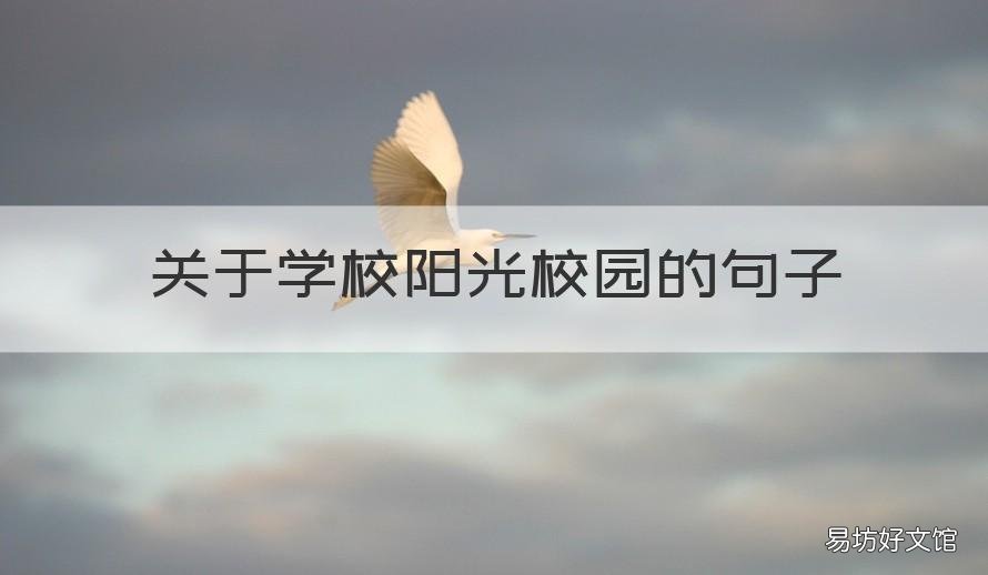 关于学校阳光校园的句子 关于学校阳光校园的句子简短