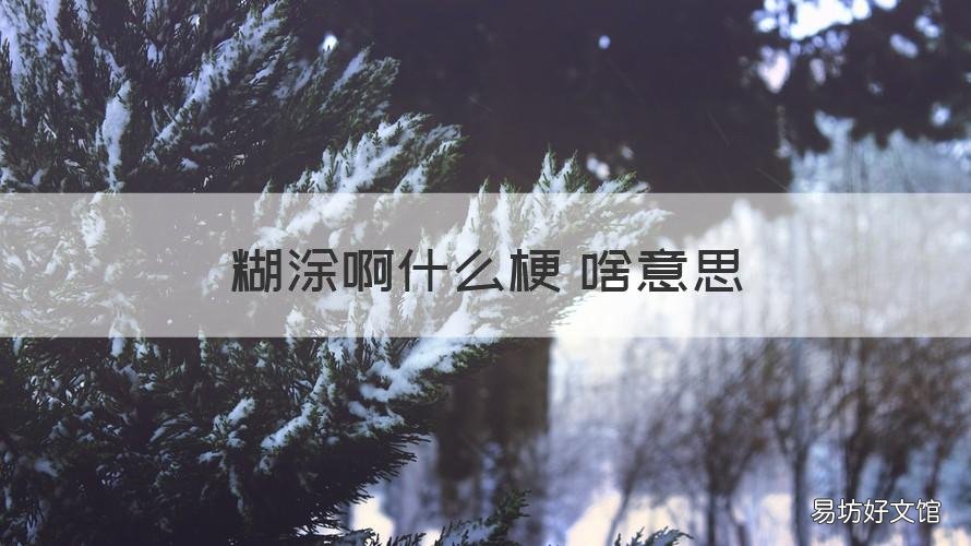 糊涂啊什么梗 啥意思
