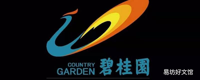 碧桂园云系是什么意思 碧桂园云系和府系