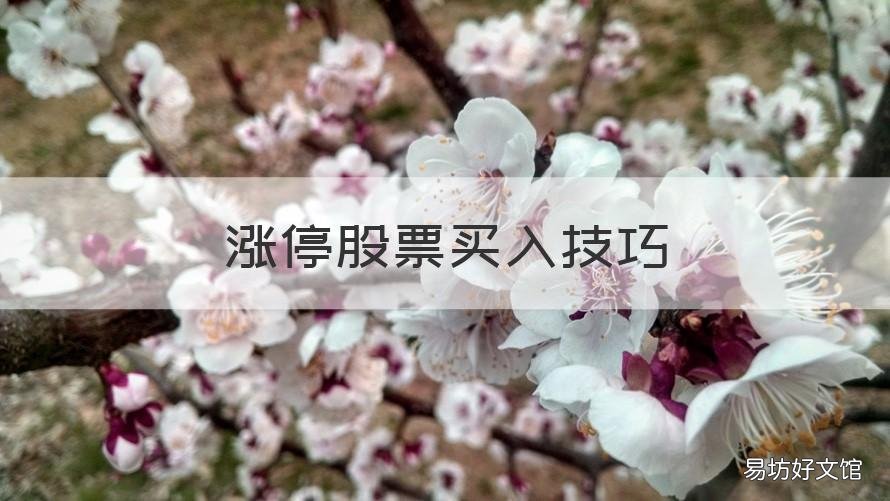 涨停股票买入技巧 股票开盘涨停买入技巧