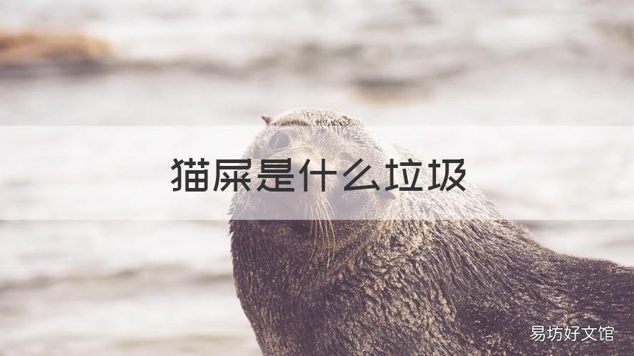 猫屎是什么垃圾 猫屎是什么垃圾分类 杭州