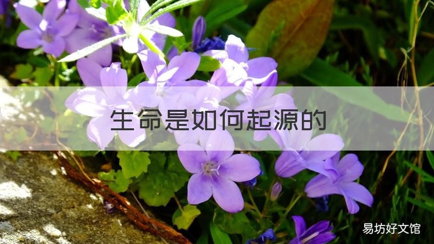 生命是如何起源的 生命是如何起源的文献