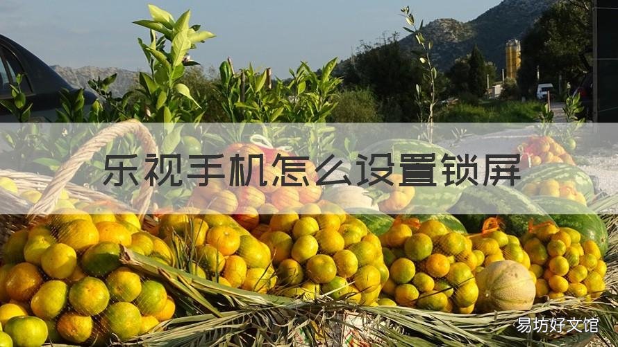 乐视手机怎么设置锁屏 乐划锁屏设置在哪