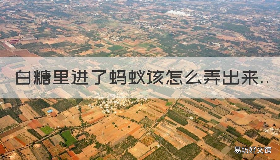 白糖里进了蚂蚁该怎么弄出来 白糖里进了蚂蚁怎么才能把它弄出来