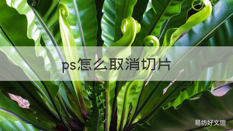 ps怎么取消切片 ps怎么取消切片的线