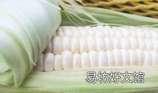 玉米乳线怎么看 玉米乳线位置随时间变化