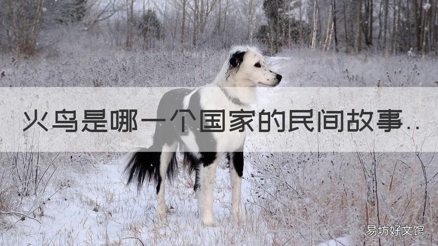 火鸟是哪一个国家的民间故事 传说中的火鸟