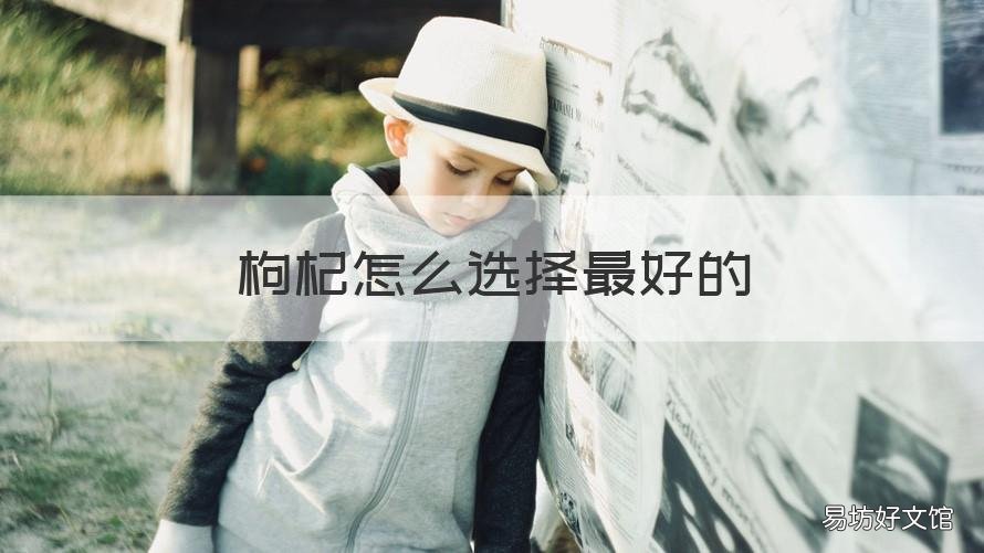 枸杞怎么选择最好的 枸杞选择什么样的好