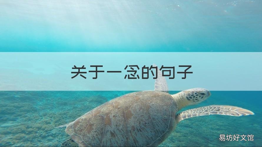 关于一念的句子 一念永恒的经典句子