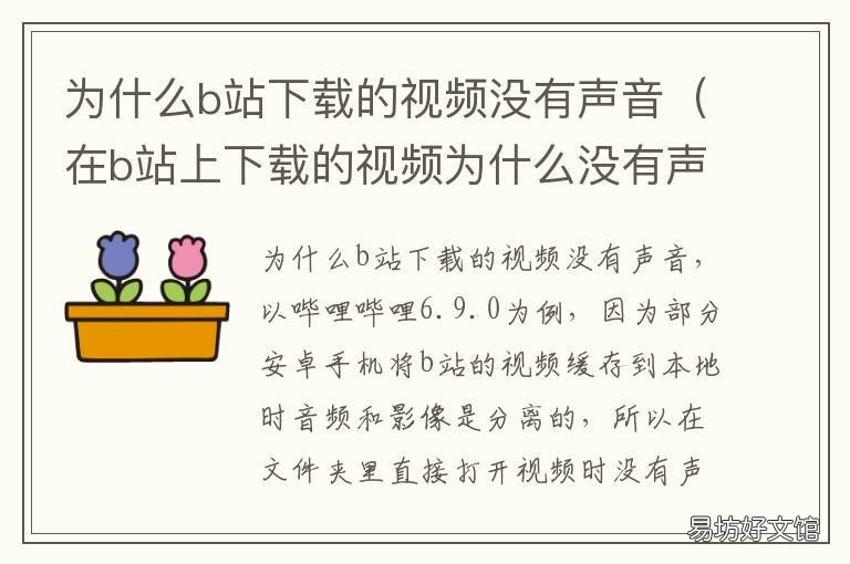 为什么b站下载的视频没有声音 b站视频下载后没有声音