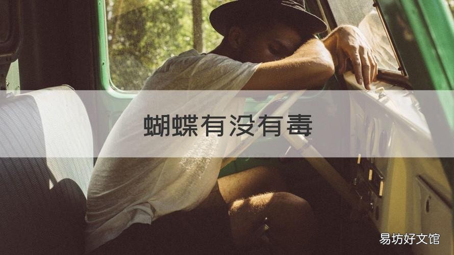 蝴蝶有没有毒 有没有毒的蝴蝶