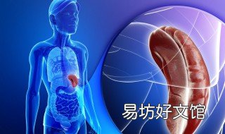 脾经怎么敲打 怎样敲打脾经的准确位置图