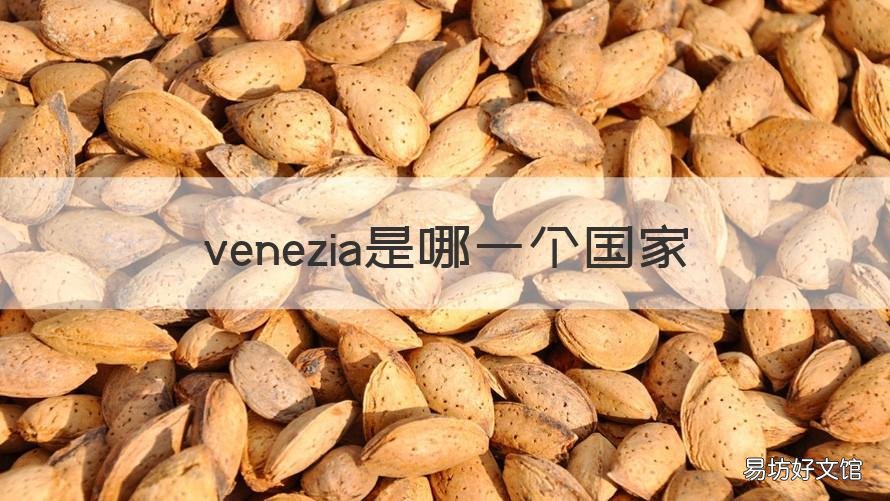 venezia是哪一个国家 veazen是哪个国家的