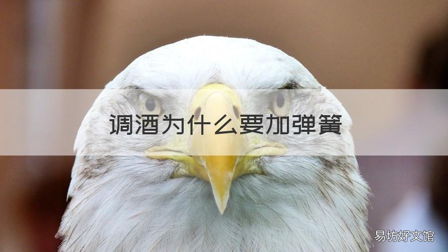 调酒为什么要加弹簧 为什么调酒师要用弹簧