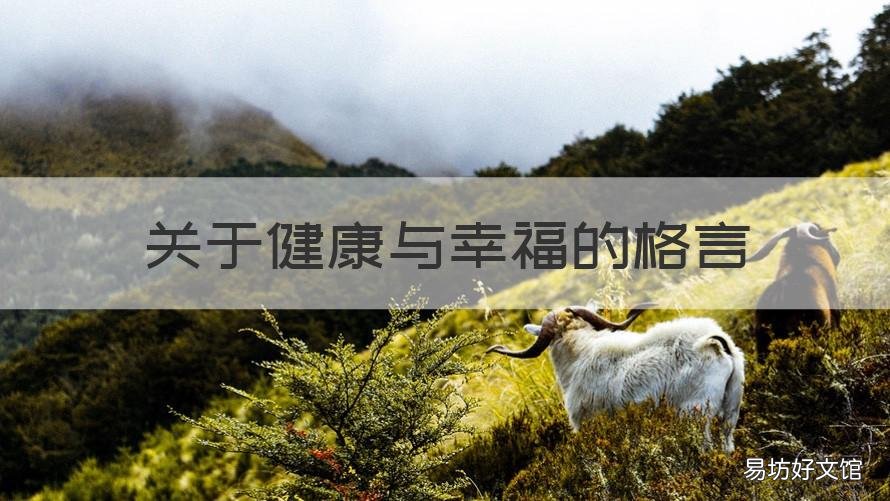 关于健康与幸福的格言 健康格言大全,健康是福