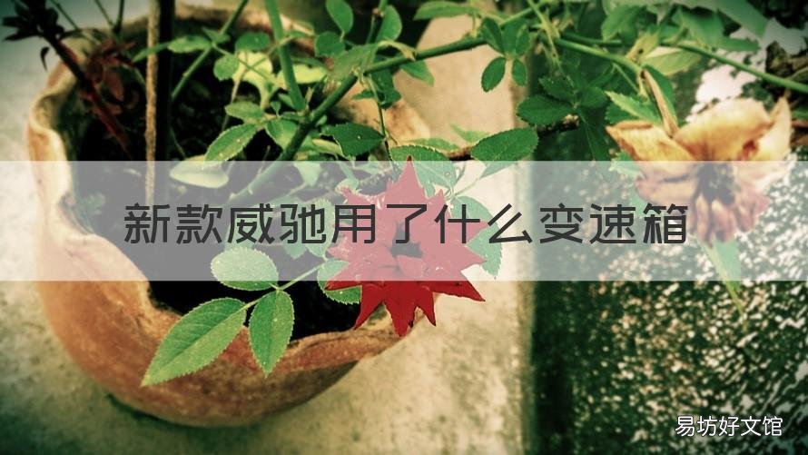 新款威驰用了什么变速箱 2017款威驰变速箱