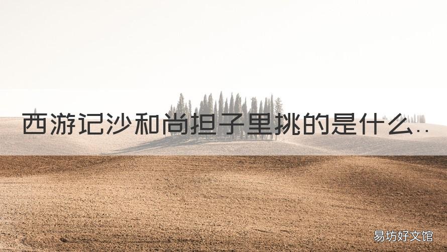 西游记沙和尚担子里挑的是什么 西游记沙僧的担子里挑的是什么
