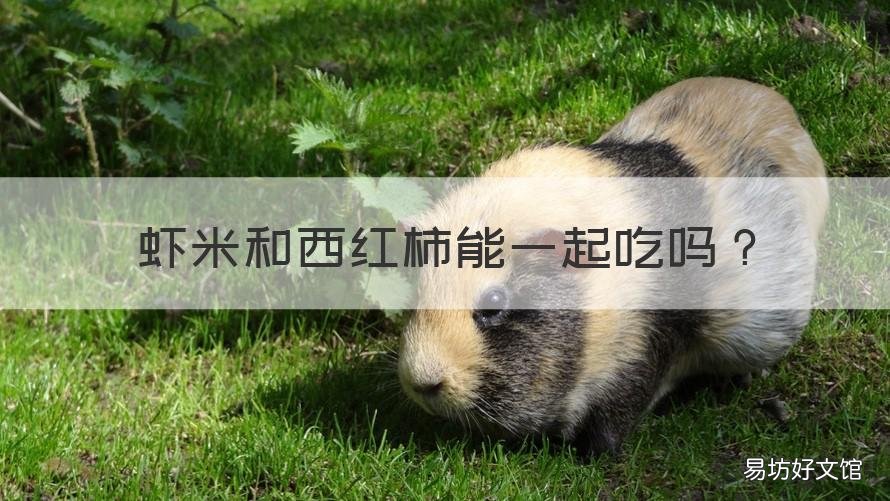 虾米和西红柿能一起吃吗