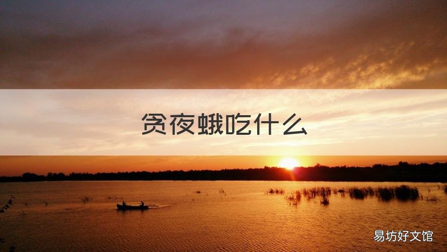 贪夜蛾吃什么 夜贪蛾是什么
