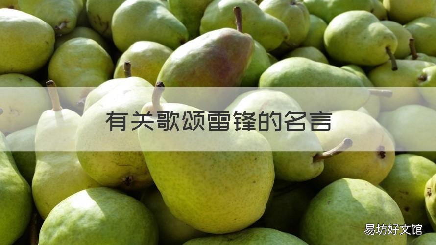 有关歌颂雷锋的名言