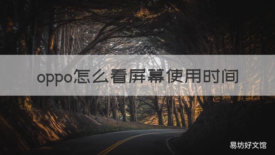oppo怎么看屏幕使用时间 OPPO屏幕使用时间怎么看