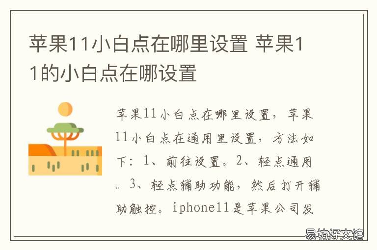 苹果11小白点在哪里设置 苹果11的小白点在哪里设置出来