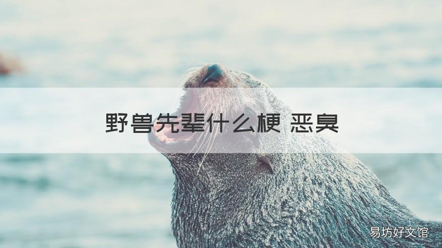 野兽先辈什么梗 恶臭