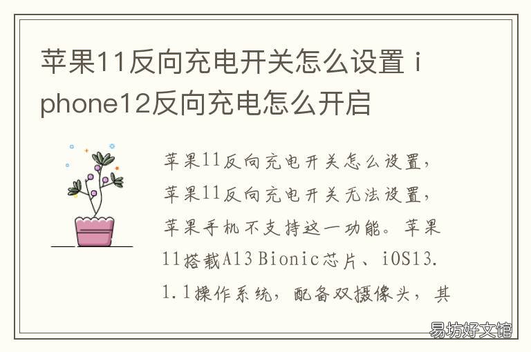 苹果11反向充电开关怎么设置 苹果12反向充电开关怎么设置