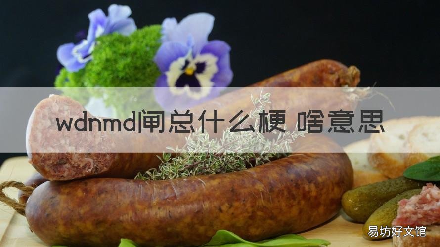 wdnmd闸总什么梗 啥意思
