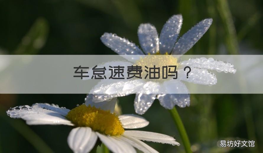 车怠速费油吗 车怠速费油吗怎么回事