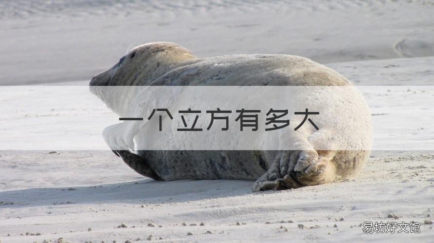 一个立方有多大 一立方有多大面积图