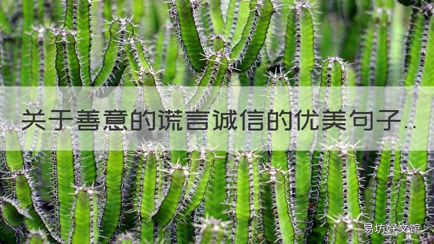 关于善意的谎言诚信的优美句子 关于善意的谎言诚信的优美句子摘抄