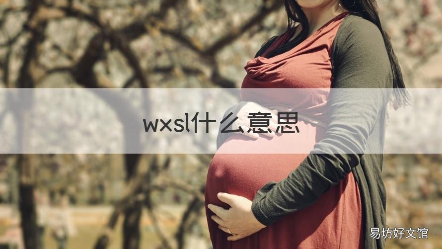 wxsl什么意思 wxsl什么意思扎心