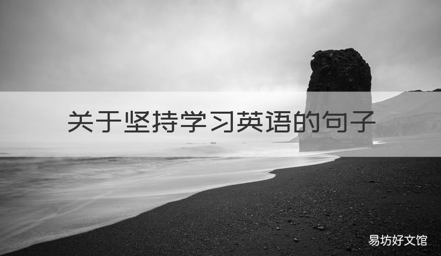 关于坚持学习英语的句子 坚持 英语句子